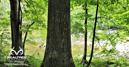 54.607 secluded acres in Adams County Ohio - image 1