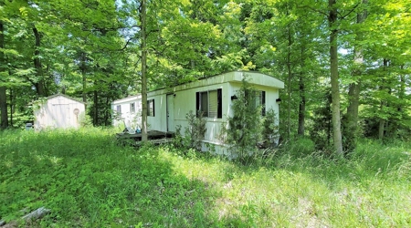 54.607 secluded acres in Adams County Ohio - image 5
