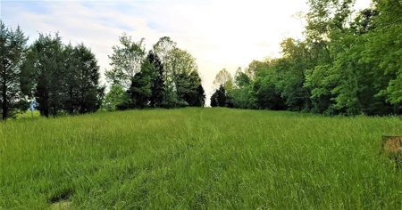 54.607 secluded acres in Adams County Ohio - image 3