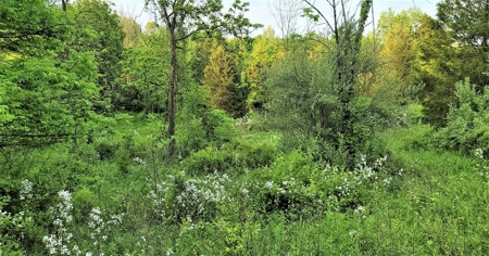 54.607 secluded acres in Adams County Ohio - image 33