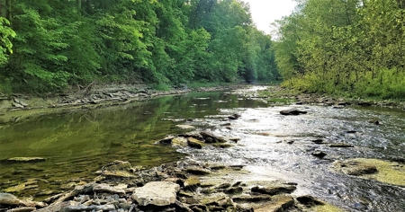 54.607 secluded acres in Adams County Ohio - image 22