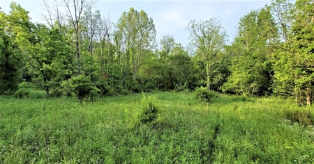 54.607 secluded acres in Adams County Ohio - image 24