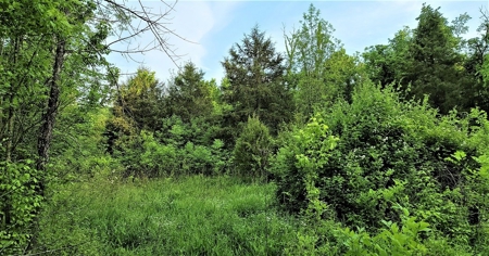54.607 secluded acres in Adams County Ohio - image 20