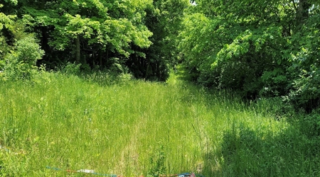 54.607 secluded acres in Adams County Ohio - image 16