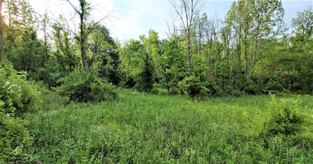 54.607 secluded acres in Adams County Ohio - image 7