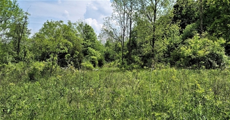 54.607 secluded acres in Adams County Ohio - image 11
