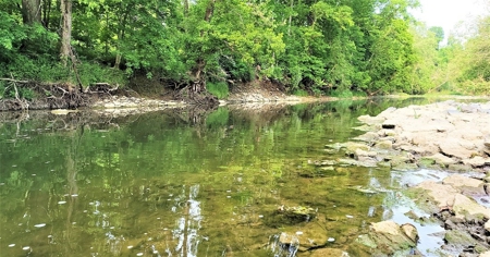 54.607 secluded acres in Adams County Ohio - image 14
