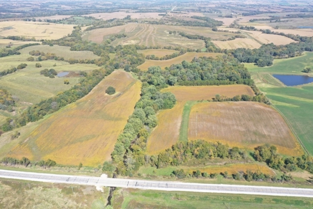 Farm For Sale Southern Iowa Mixed-Use Crops Pasture Hunting - image 9