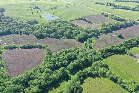 Farm For Sale Southern Iowa Mixed-Use Crops Pasture Hunting - image 7