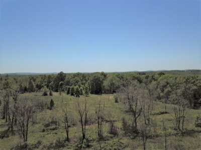 Large Tract of Land Touching National Forest - image 3