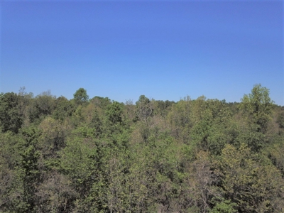 Large Tract of Land Touching National Forest - image 4