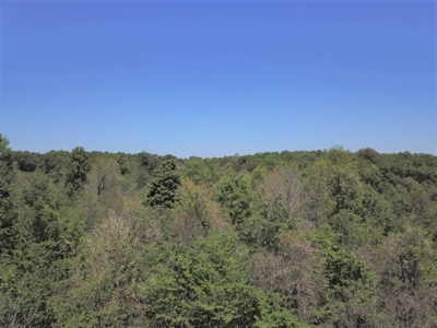 Large Tract of Land Touching National Forest - image 7