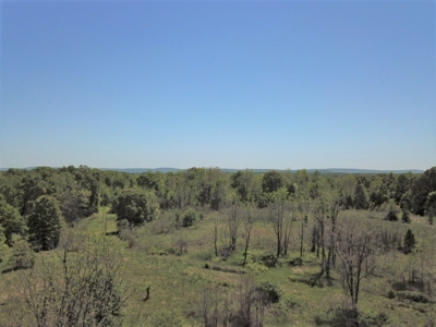 Large Tract of Land Touching National Forest - image 6