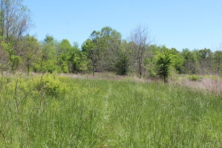 Large Tract of Land Touching National Forest - image 8