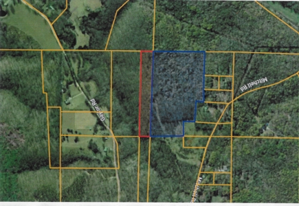 Large Tract of Land Touching National Forest - image 10