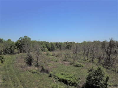 Large Tract of Land Touching National Forest - image 1