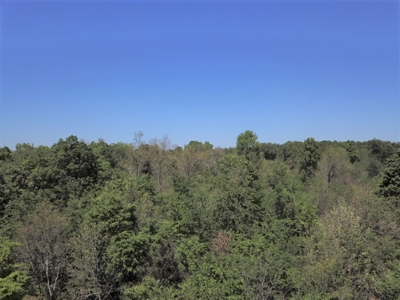 Large Tract of Land Touching National Forest - image 2
