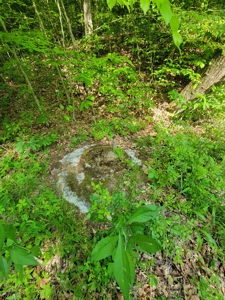 Perry County Dead End Road Recreational Property - image 16