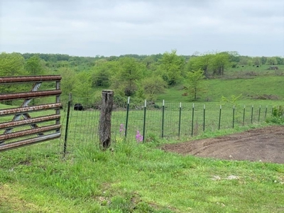 Farm & Ranch with Hunting Land For Sale in Putnam County, MO - image 12