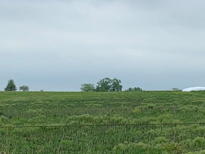 Farm & Ranch with Hunting Land For Sale in Putnam County, MO - image 1