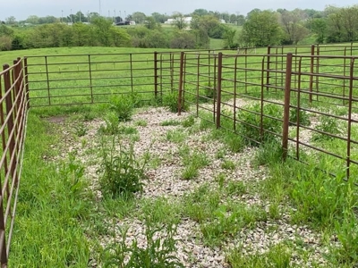 Farm & Ranch with Hunting Land For Sale in Putnam County, MO - image 5