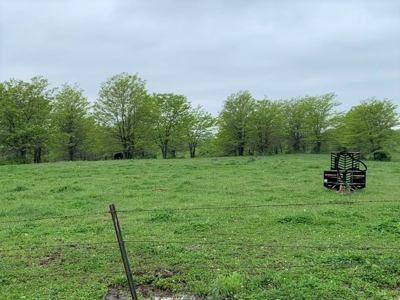 Farm & Ranch with Hunting Land For Sale in Putnam County, MO - image 8