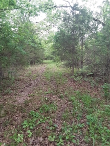 Historic Home In Arkansas For Sale On 25 Acres - image 21