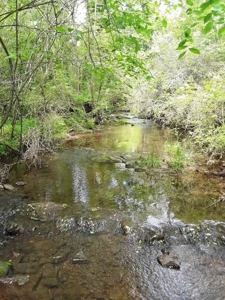 Historic Home In Arkansas For Sale On 25 Acres - image 19