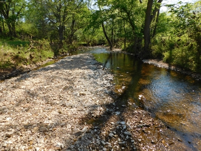 Cattle Farm Pasture Cross Fenced Boone County, Ar For Sale - image 3