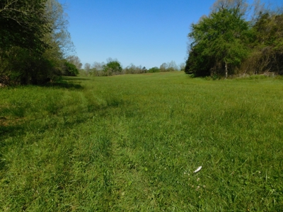 Cattle Farm Pasture Cross Fenced Boone County, Ar For Sale - image 1