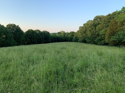 FARM or possible AIRBNB FOR SALE IN TN. - image 42