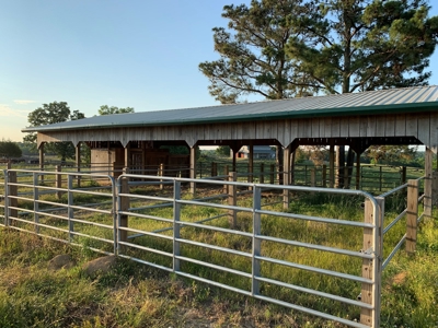 FARM or possible AIRBNB FOR SALE IN TN. - image 35