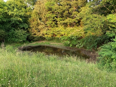 FARM or possible AIRBNB FOR SALE IN TN. - image 40