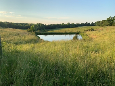 FARM or possible AIRBNB FOR SALE IN TN. - image 39