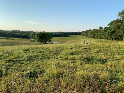 FARM or possible AIRBNB FOR SALE IN TN. - image 31