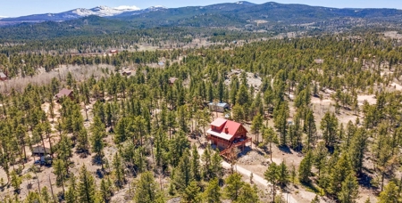 High End Log Home - image 35