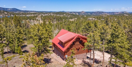 High End Log Home - image 2