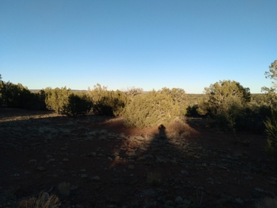 Seligman AZ Beautifully Treed Near Hunting State Trust Land - image 6