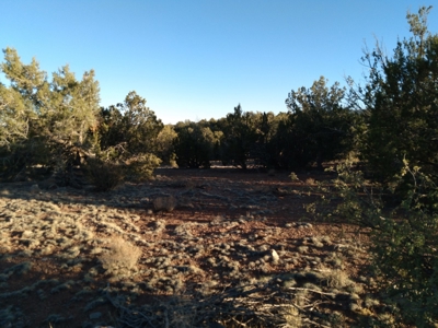 Seligman AZ Beautifully Treed Near Hunting State Trust Land - image 2