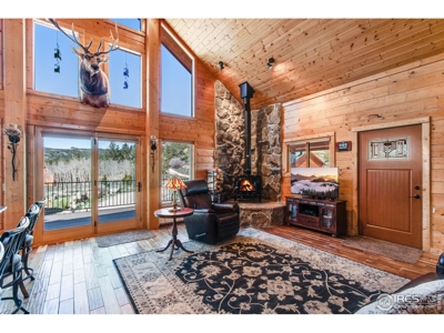 D Log Cabin in the Pines - image 11