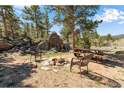 D Log Cabin in the Pines - image 6
