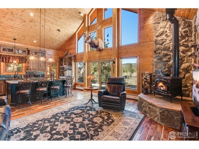 D Log Cabin in the Pines - image 10