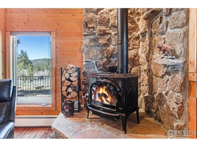 D Log Cabin in the Pines - image 14