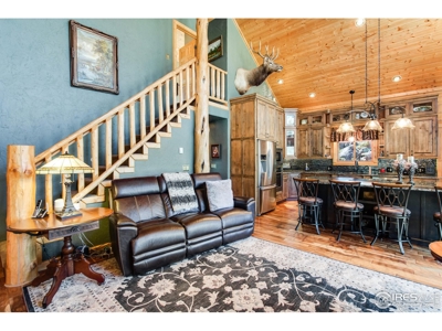 D Log Cabin in the Pines - image 9