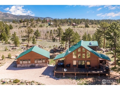 D Log Cabin in the Pines - image 1
