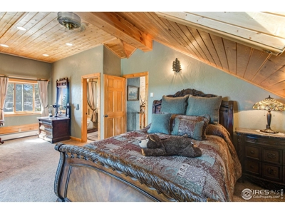 D Log Cabin in the Pines - image 21