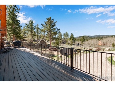 D Log Cabin in the Pines - image 8