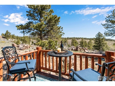 D Log Cabin in the Pines - image 26