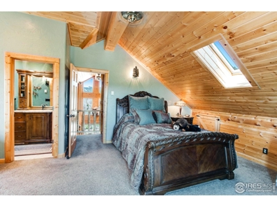 D Log Cabin in the Pines - image 22