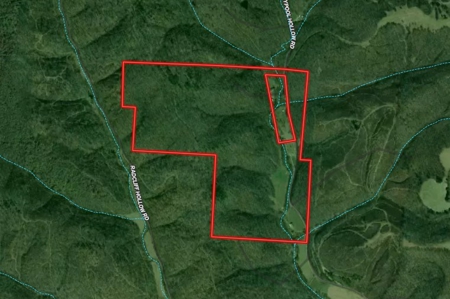 Turn Key Ohio Hunting Property - image 37